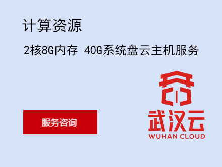 2核8G内存 40G系统盘武汉政务云主机服务