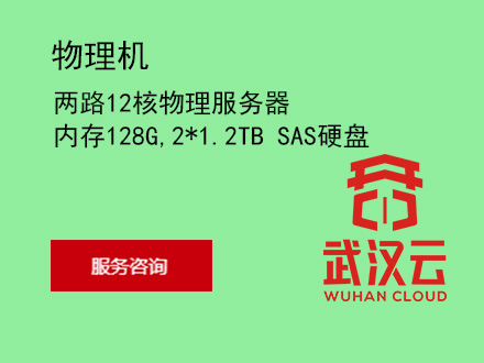 两路12核物理服务器，内存128G，2*1.2TB SAS硬盘