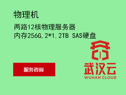 两路12核物理服务器，内存256G，2*1.2TB SAS硬盘
