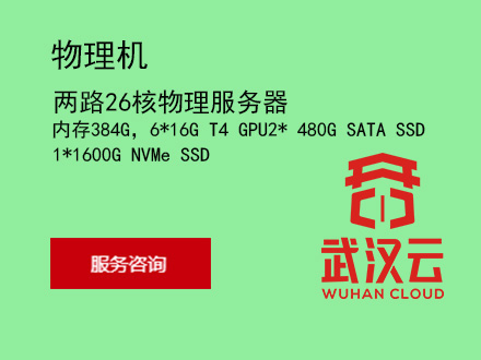 两路26核物理服务器，内存384G，6*16G T4 GPU，2* 480G SATA SSD，1*1600G NVMe SSD