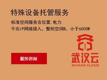 标准空间服务含位置，电力，千兆IP网络接入，整柜空间B，小于6000W