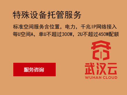 标准空间服务含位置，电力，千兆IP网络接入，每U空间A，单U不超过300W，2U不超过450W配额