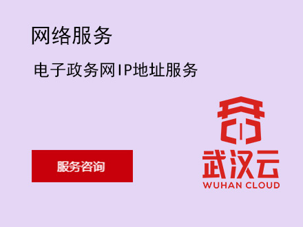 电子政务网IP地址服务
