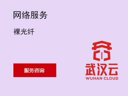 裸光纤