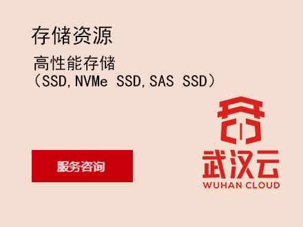 高性能存储（SSD,NVMe SSD,SAS SSD）