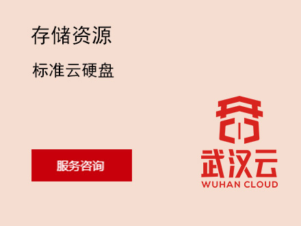 标准云硬盘