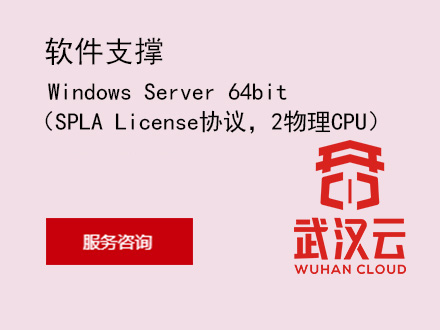 Windows Server 64bit（SPLA License协议，2物理CPU）