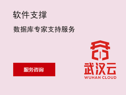 数据库专家支持服务