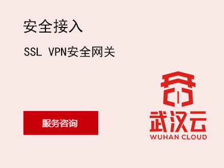SSL VPN安全网关