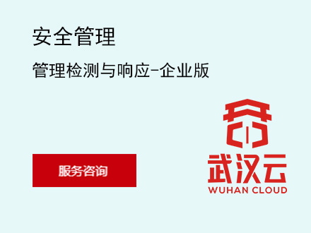 管理检测与响应-企业版