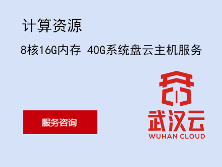 8核16G内存 40G系统盘武汉政务云主机服务