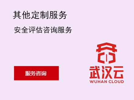 安全评估咨询服务