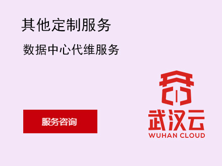 数据中心代维服务