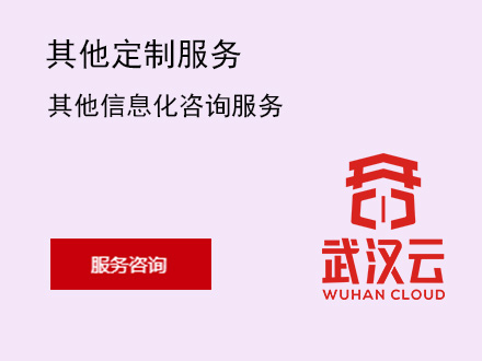 其他信息化咨询服务